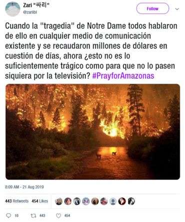 Incendies en Amazonie : démêlez le vrai du faux