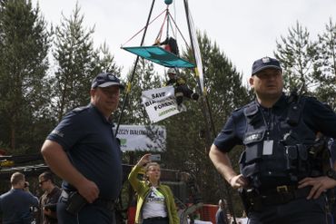 Action de Greenpeace pour sauver les arbres dans la forêt de Bialowieza, en Pologne Action de Greenpeace pour sauver les arbres dans la forêt de Bialowieza, en Pologne