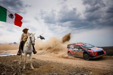 La Hyundai i20 Coupé WRC de Thierry Neuville (et un cheval) La Hyundai i20 Coupé WRC de Thierry Neuville (et un cheval)