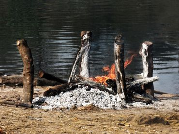 C'est l'histoire d'un animal : Les animaux devant la justice C'est l'histoire d'un animal : Les animaux devant la justice