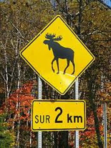 panneau signalisation canada panneau signalisation canada