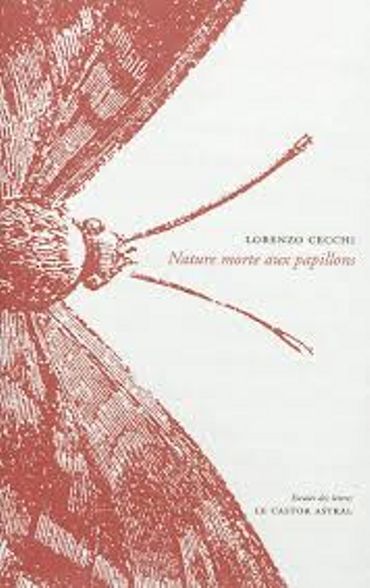 "Nature morte aux papillons", Lorenzo Cecchi, Le castor astral "Nature morte aux papillons", Lorenzo Cecchi, Le castor astral