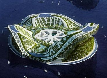 Lilypad Lilypad