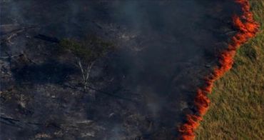 Sur cette on voit une forêt presque entièrement carbonisée a bien été prise en Amazonie mais il ne s'agit pas des feux de forêt actuels Sur cette on voit une forêt presque entièrement carbonisée a bien été prise en Amazonie mais il ne s'agit pas des feux de forêt actuels