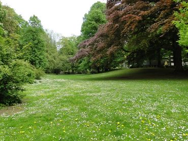 Cet espace vert est doté d’une importante pièce d’eau et conserve le plus gros noyer noir de Belgique. Cet espace vert est doté d’une importante pièce d’eau et conserve le plus gros noyer noir de Belgique.
