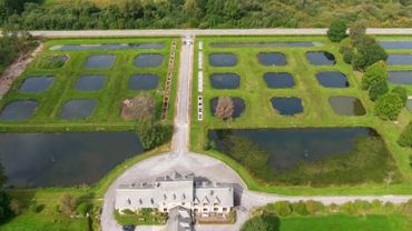Le cadre magnifique des étangs de Freux, dans la commune de Libramont-Chevigny, abrite une pisciculture en activité depuis 1889. - © Tous droits réservés Le cadre magnifique des étangs de Freux, dans la commune de Libramont-Chevigny, abrite une pisciculture en activité depuis 1889. - © Tous droits réservés