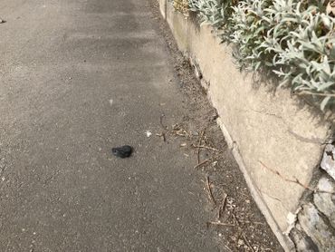 De la suie se répand également dans les quartiers alentours, notamment celui du Wérihét. De la suie se répand également dans les quartiers alentours, notamment celui du Wérihét.