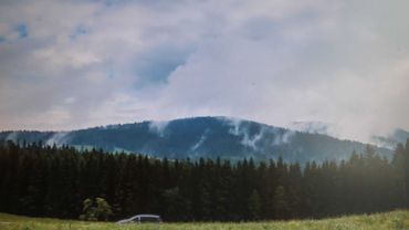 Image prise au-dessus d'une forêt suisse Image prise au-dessus d'une forêt suisse