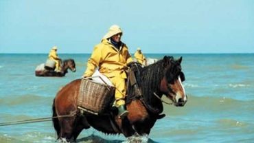 Une deuxième femme pêche à dos de cheval à Oostduinkerke : pourquoi c'est révolutionnaire Une deuxième femme pêche à dos de cheval à Oostduinkerke : pourquoi c'est révolutionnaire