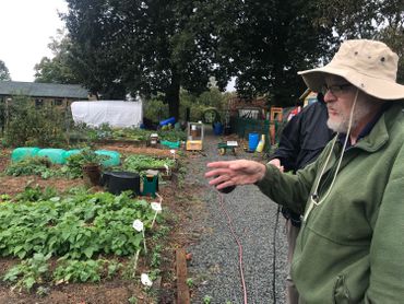 Echanger les graines de son potager: bon pour le porte-feuille et la biodiversité Echanger les graines de son potager: bon pour le porte-feuille et la biodiversité
