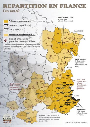 Carte de répartition du loup en France en 2015 Carte de répartition du loup en France en 2015