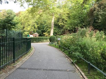 En plein milieu du parc Josaphat à Schaerbeek, l'ambroisie s'est développée le long d'un sentier En plein milieu du parc Josaphat à Schaerbeek, l'ambroisie s'est développée le long d'un sentier