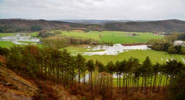 Le domaine est inondé Le domaine est inondé