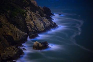 Noctiluca Scintillans sur une côte de l'île de Taiwan Noctiluca Scintillans sur une côte de l'île de Taiwan