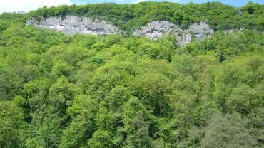 La Roche-aux-Faucons, un pic culminant à 205 mètres, classé depuis 194 La Roche-aux-Faucons, un pic culminant à 205 mètres, classé depuis 194