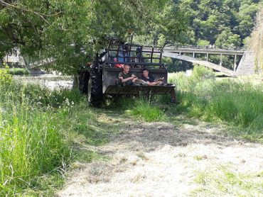 Sur l'île de Bohan, des moutons servent de tondeuses écologiques Sur l'île de Bohan, des moutons servent de tondeuses écologiques