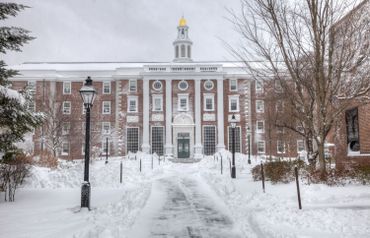 Harvard en hiver Harvard en hiver