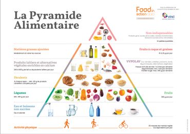 La Pyramide Alimentaire 2020, développée par Food in Action et le département diététique de l’Institut Paul Lambin – Haute École Léonard de Vinci La Pyramide Alimentaire 2020, développée par Food in Action et le département diététique de l’Institut Paul Lambin – Haute École Léonard de Vinci