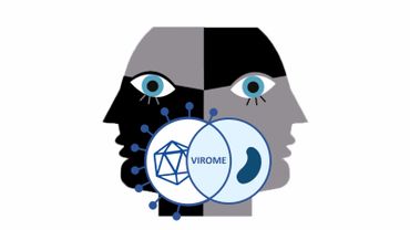 Représentation du concept « Virome » qui illustre notre cohabitation avec les virus dont certains sont bénéfiques ou délétères Représentation du concept « Virome » qui illustre notre cohabitation avec les virus dont certains sont bénéfiques ou délétères