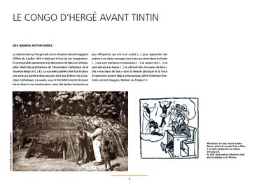 Les tribulations de Tintin au Congo Les tribulations de Tintin au Congo