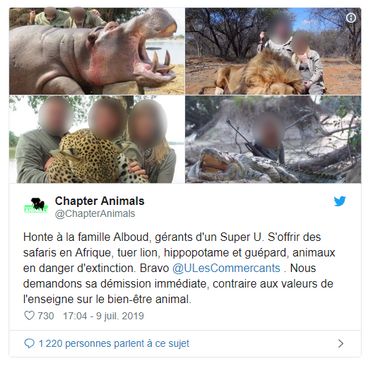 Repérés sur le web avec des trophées de safari-chasse, ils doivent démissionner Repérés sur le web avec des trophées de safari-chasse, ils doivent démissionner