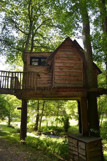 Qui n’a jamais rêvé de dormir dans les arbres Qui n’a jamais rêvé de dormir dans les arbres