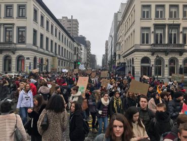 Au milieu des bâtiments, une véritable "marée verte"