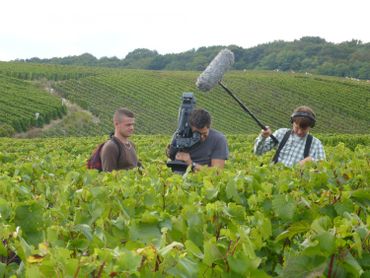 Les vins de champagne Les vins de champagne