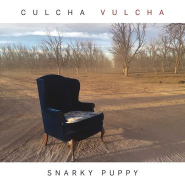 "Snarky Puppy" : quand le jazz est là "Snarky Puppy" : quand le jazz est là