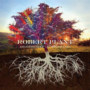 Robert Plant partage un classique rockabilly Robert Plant partage un classique rockabilly