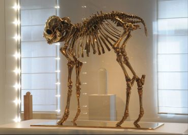 "False God", un squelette animalier en bronze de Sherrie Levine (1947, USA). "False God", un squelette animalier en bronze de Sherrie Levine (1947, USA).