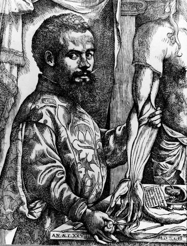 Andreas Vesalius Andreas Vesalius
