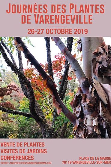 Journées des Plantes de Varengeville-sur-Mer avec des conférences et des visites de jardins magnifiques. Journées des Plantes de Varengeville-sur-Mer avec des conférences et des visites de jardins magnifiques.