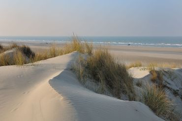 Dune blanche Zuydcoote Dune blanche Zuydcoote