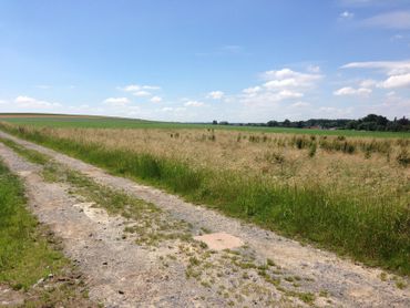 L'agriculture sera toujours bien présente dans le nouveau quartier L'agriculture sera toujours bien présente dans le nouveau quartier
