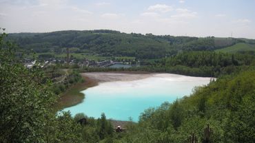 Un ancien bassin de décantation recolonisé par la Nature à Seille Un ancien bassin de décantation recolonisé par la Nature à Seille