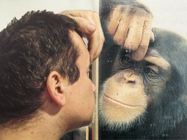 Le contentieux stratégique, le grand singe et le pouvoir d'agir Le contentieux stratégique, le grand singe et le pouvoir d'agir