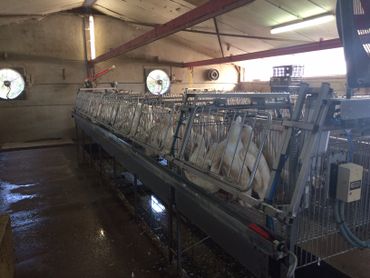 Les fermiers producteurs de foie gras inquiets Les fermiers producteurs de foie gras inquiets