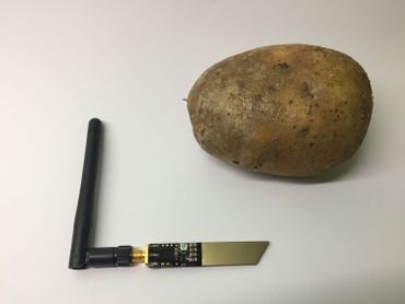 "Potato", la pomme de terre intelligente et connectée présentée au prestigieux CES de Las Vegas "Potato", la pomme de terre intelligente et connectée présentée au prestigieux CES de Las Vegas