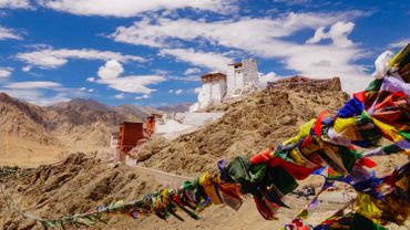 Inde, Stephan Marchal Inde, Stephan Marchal