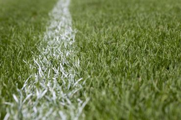 White stripe marking on green grass White stripe marking on green grass