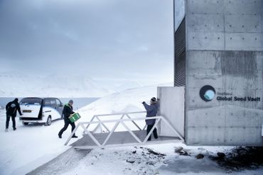 Mise à l'abri de caisses contenant des espèces végétales au Spitzberg, en 2016 Mise à l'abri de caisses contenant des espèces végétales au Spitzberg, en 2016