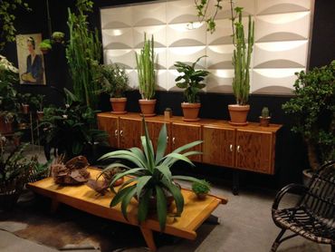 Du mobilier vintage parmi des plantes de seconde main Du mobilier vintage parmi des plantes de seconde main