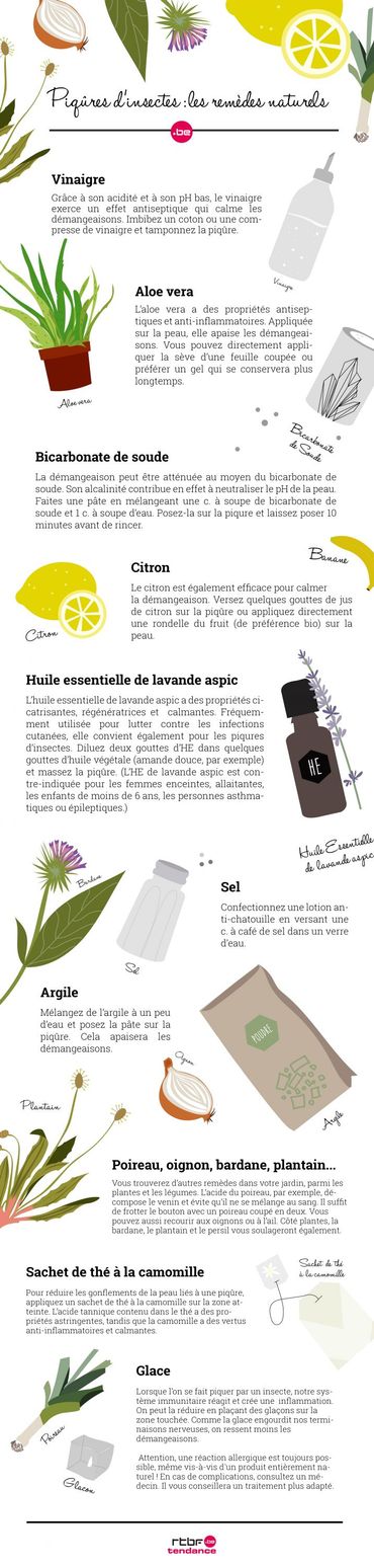 Piqûres d’insectes : les remèdes naturels Piqûres d’insectes : les remèdes naturels