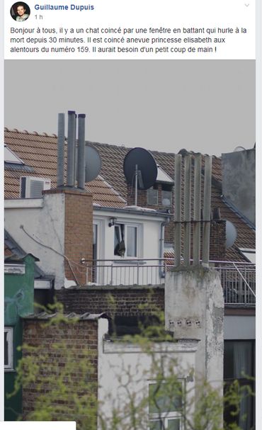 La publication de Guillaume a suscité l'émoi de ses voisins La publication de Guillaume a suscité l'émoi de ses voisins
