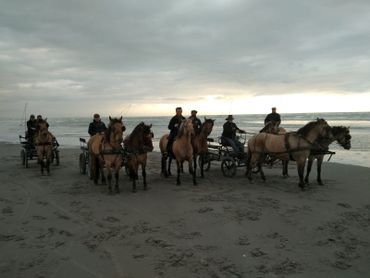 Chevauchée fantastique sur les plages immenses en Hauts-de-France Chevauchée fantastique sur les plages immenses en Hauts-de-France