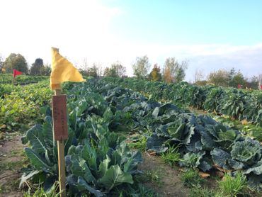 Sur les hauteurs de Jupille, le Champ des Possibles Sur les hauteurs de Jupille, le Champ des Possibles