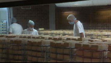 C'est à la fromagerie de l'abbaye que le fromage de Maredsous est affiné, mais la matière première vient... de France. C'est à la fromagerie de l'abbaye que le fromage de Maredsous est affiné, mais la matière première vient... de France.