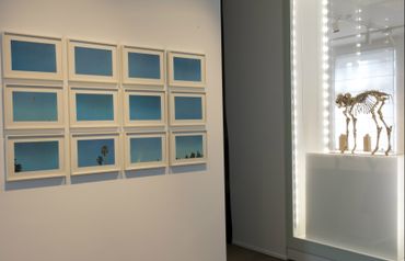 Un multiple de John Baldessari (1931, USA), un ensemble de photographies de 1973, et le "False God", un squelette animalier en bronze de Sherrie Levine (1947, USA) Un multiple de John Baldessari (1931, USA), un ensemble de photographies de 1973, et le "False God", un squelette animalier en bronze de Sherrie Levine (1947, USA)