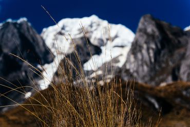 Les glaciers des Andes ont perdu plus de 40% de leur surface ces dernières années. Les glaciers des Andes ont perdu plus de 40% de leur surface ces dernières années.
